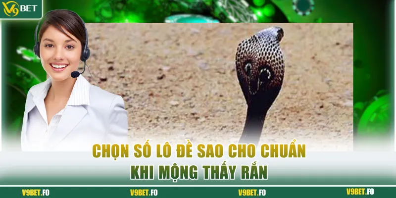 chon so lo de sao cho chuan khi mong thay ran Chọn số lô đề sao cho chuẩn khi mộng thấy rắn