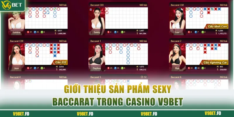 gioi thieu san pham sexy baccarat trong casino v9bet Giới thiệu sản phẩm Sexy Baccarat trong casino V9bet