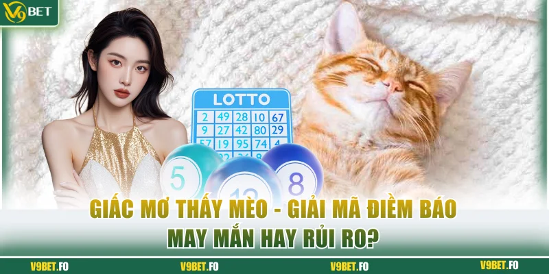 Mơ thấy mèo