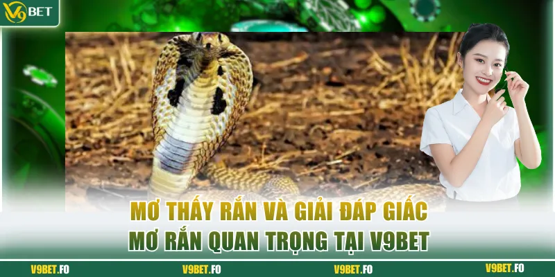 mo thay ran mơ thấy rắn
