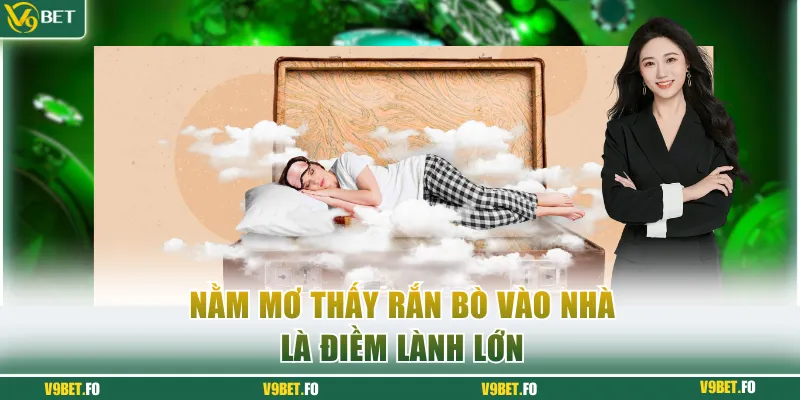 nam mo thay ran bo vao nha la diem lanh lon Nằm mơ thấy rắn bò vào nhà là điềm lành lớn